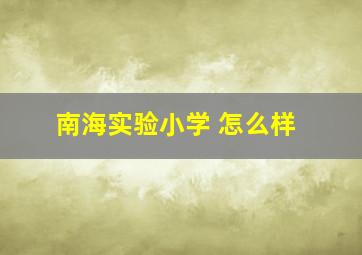 南海实验小学 怎么样